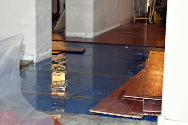 Professional Sewage Cleanup technician working in Bushland, TX